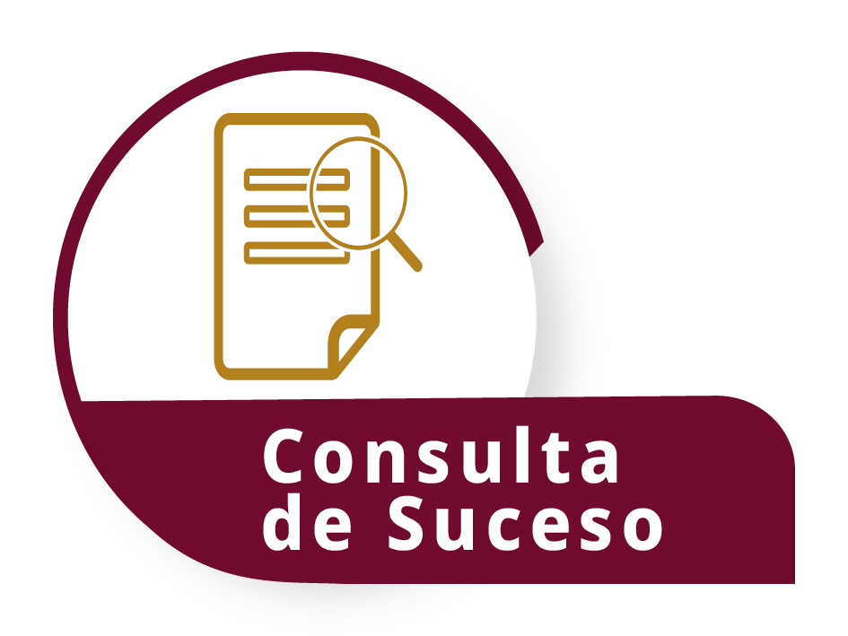 Consulta de Suceso